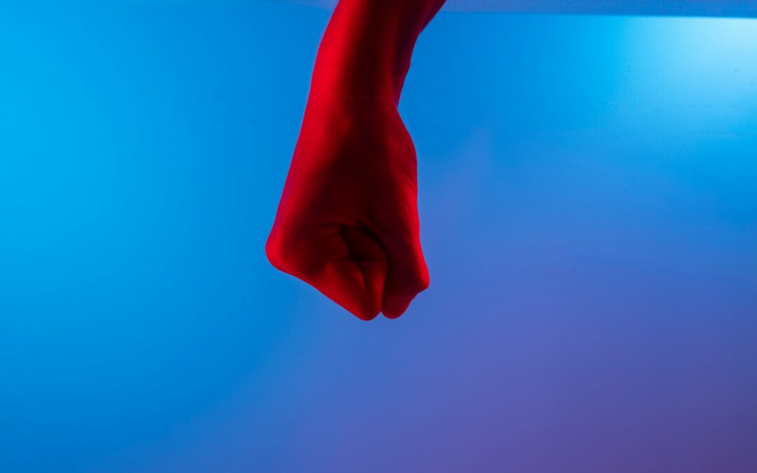 Rapport de l&rsquo;Observatoire National des Violences en Santé 2025