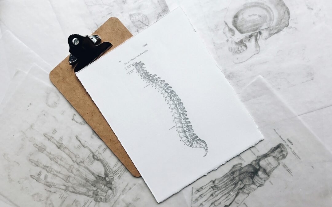 La santé musculo-squelettique et les facteurs de risque dans le secteur de la santé et de l’aide sociale : (HesCare)tour d’horizon des informations existantes
