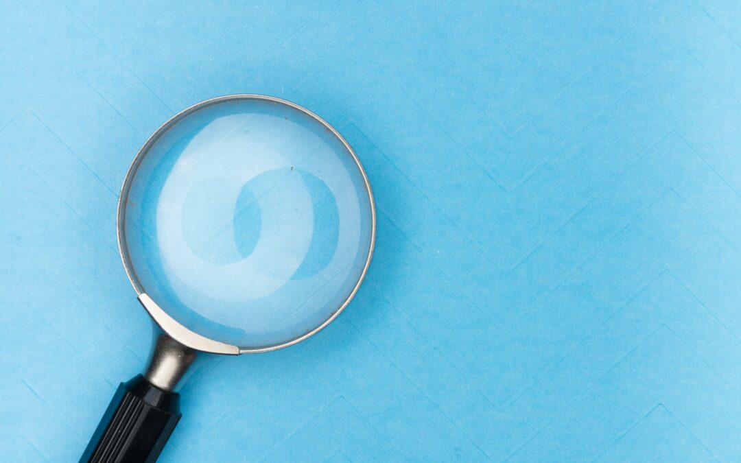 Rapport d’expertise sur la réforme de la santé au travail